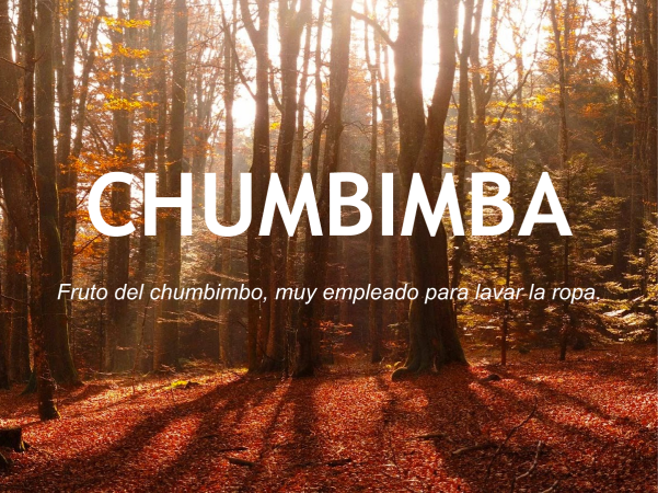 chumbimba_otras20palabras