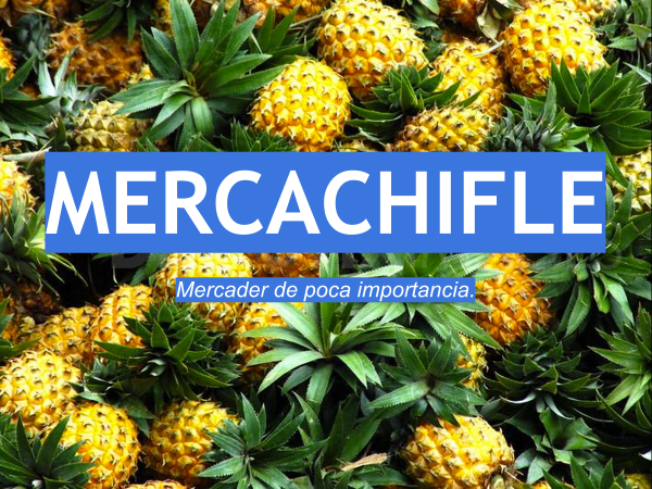 mercachifle_otras20palabras